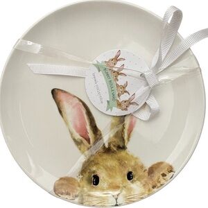 MAXCERA Spring Easter Bunny Boulevard Ceramic 6" Appetizer Plates Set of 4 NEW